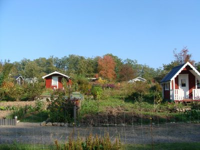 Kolonistugor och odlingar i höstljus